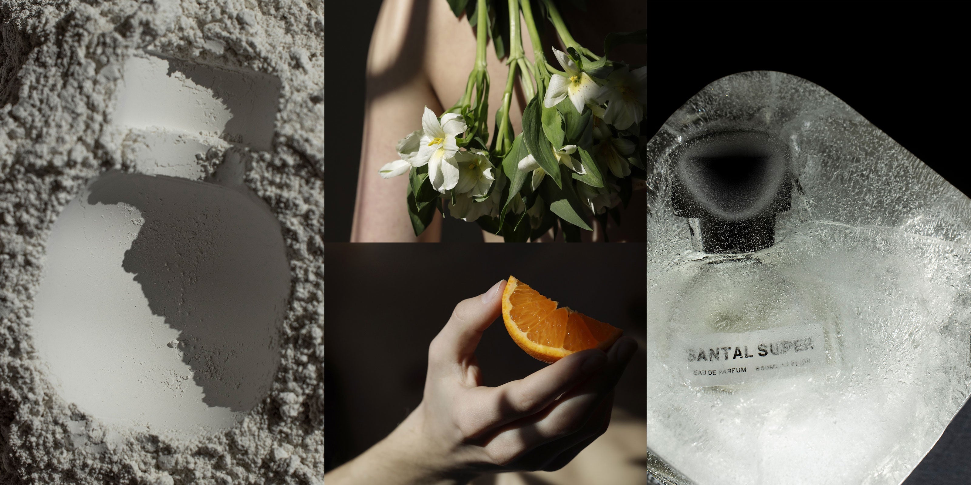 Vier verschiedene Bilder zum Thema Jahreszeiten