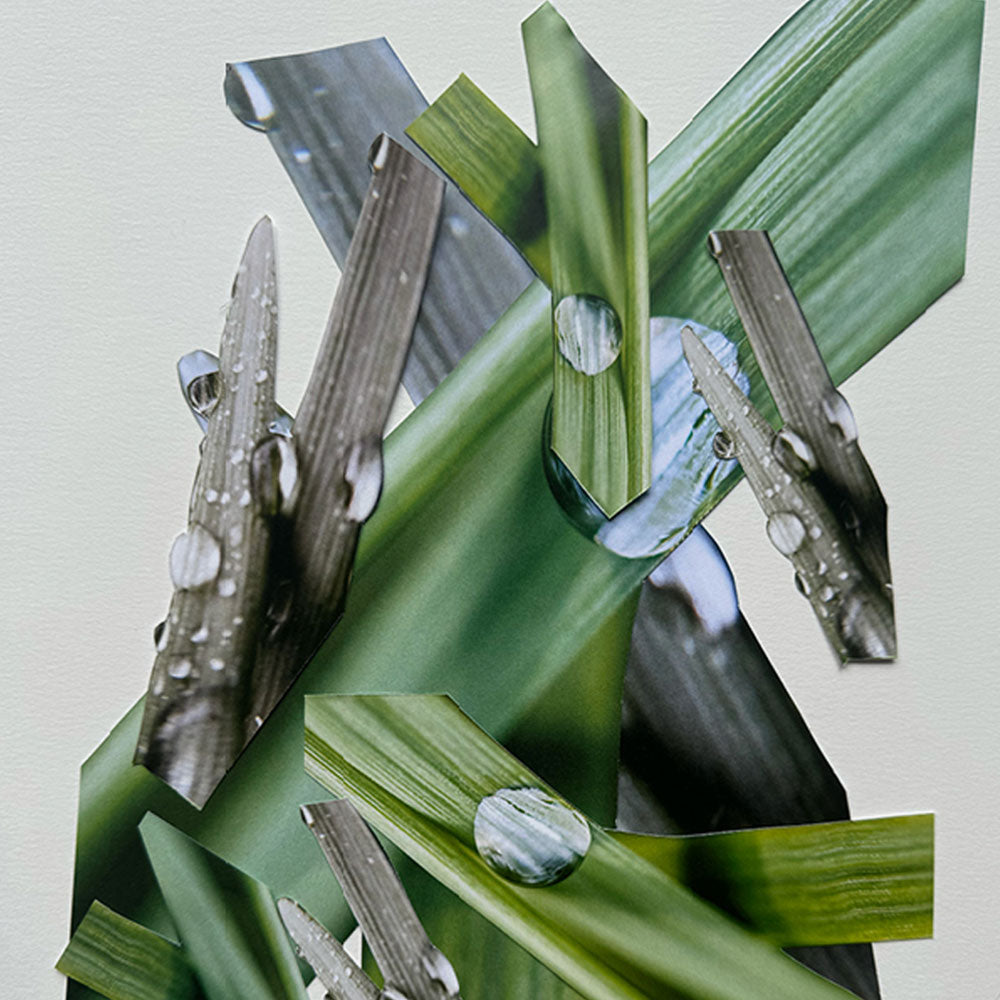 19-69 Nineteen Sixty Nine Atlantico – Eau de Parfum – Sample von Johan Bergelin in der Duftnote Aquatic, Citrusy, Green