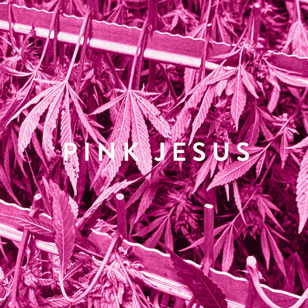 Pink Jesus – Eau de Parfum – 9ml