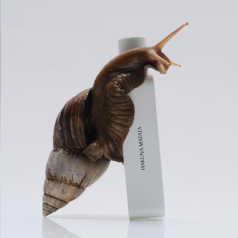 27 87 Hakuna Matata – Eau de Parfum – 27ml von Rodrigo Flores-Roux in der Duftnote Fruity, Resinous