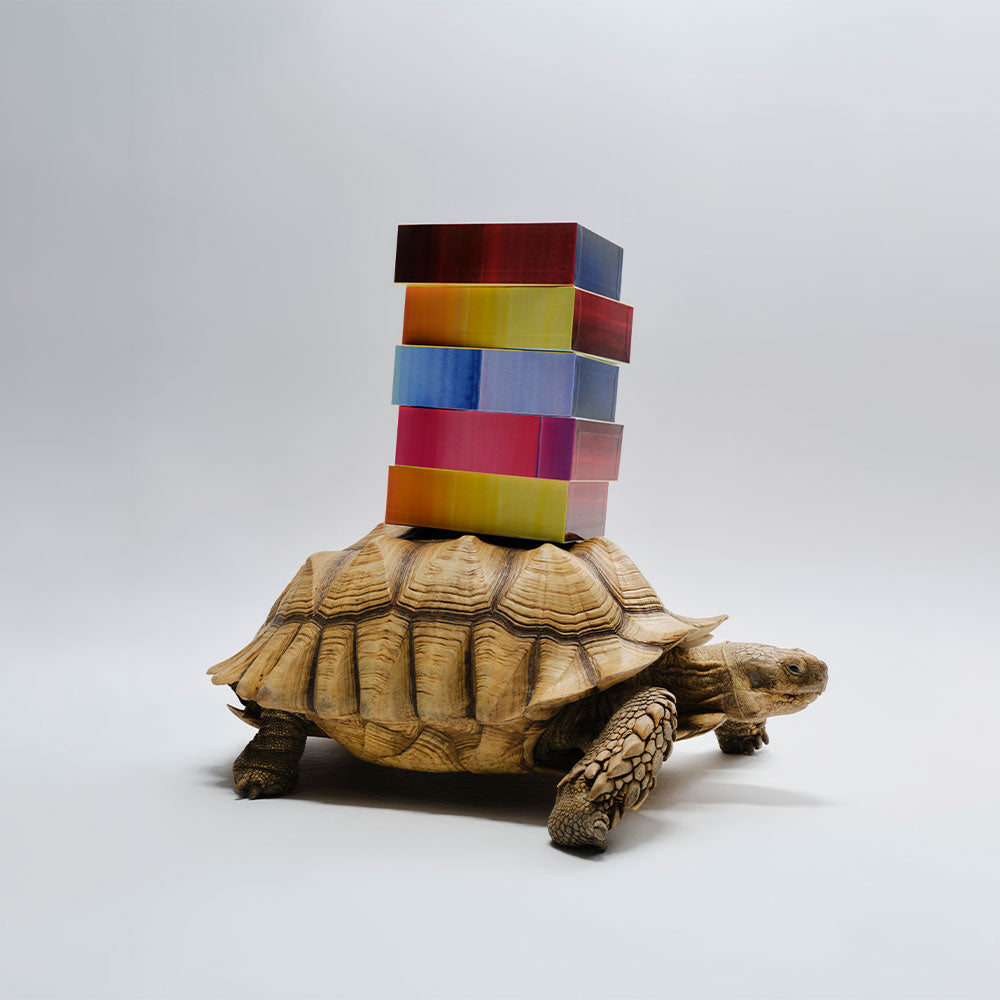 Hakuna Matata – Eau de Parfum – 87ml