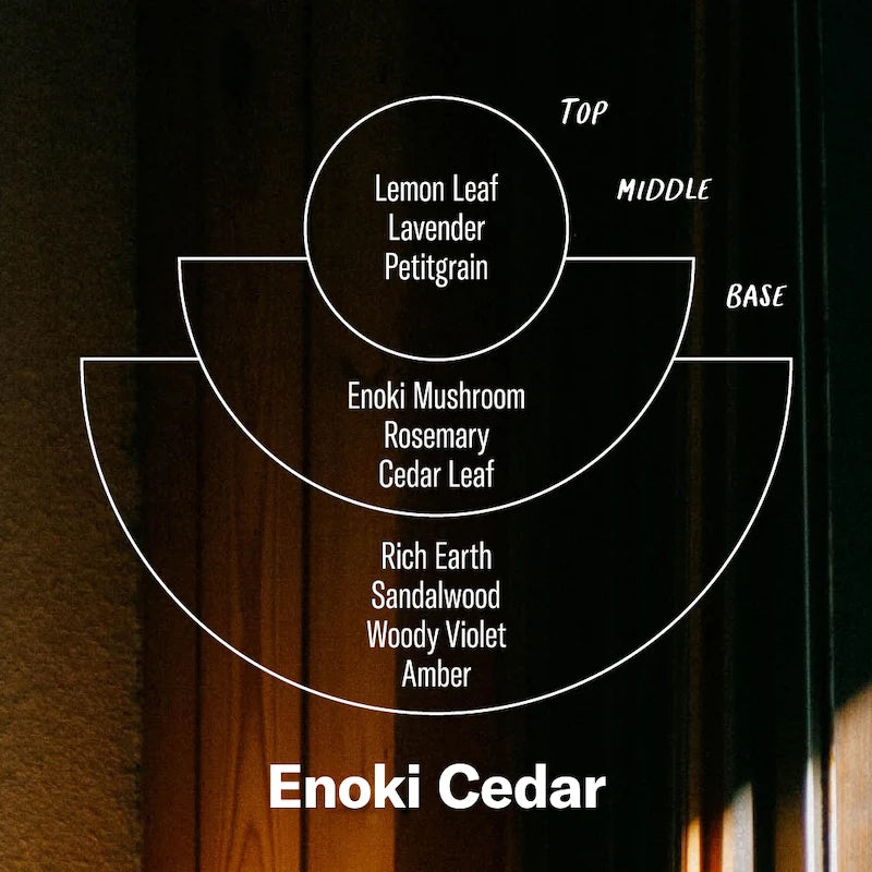 P.F. Candle Co. Alchemy Line: Enoki Cedar – Incense Cones