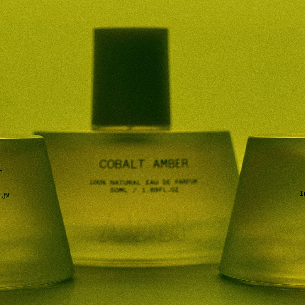 Cobalt Amber – Eau de Parfum – 50ml
