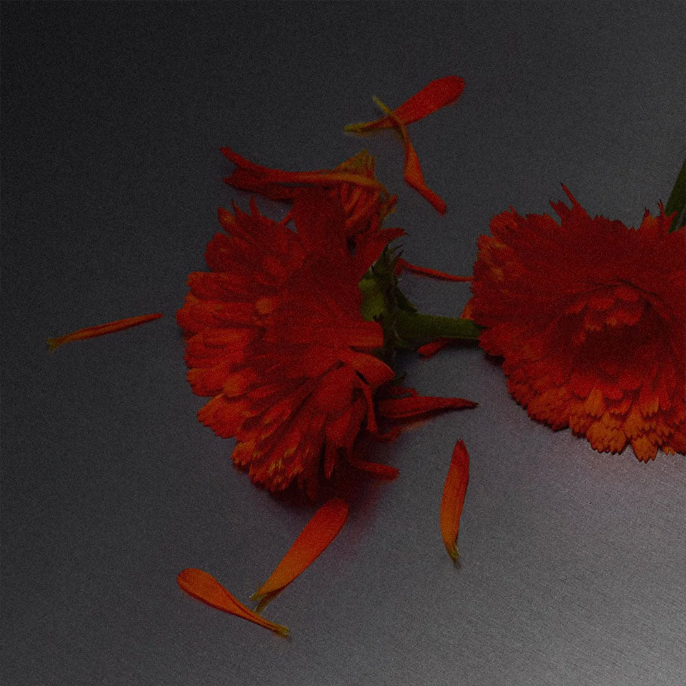 Scene 02 – Room Spray