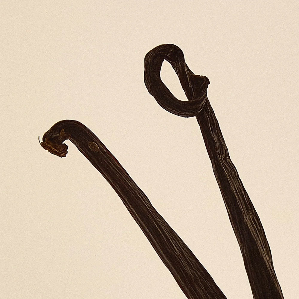 Scene 03 – Room Spray