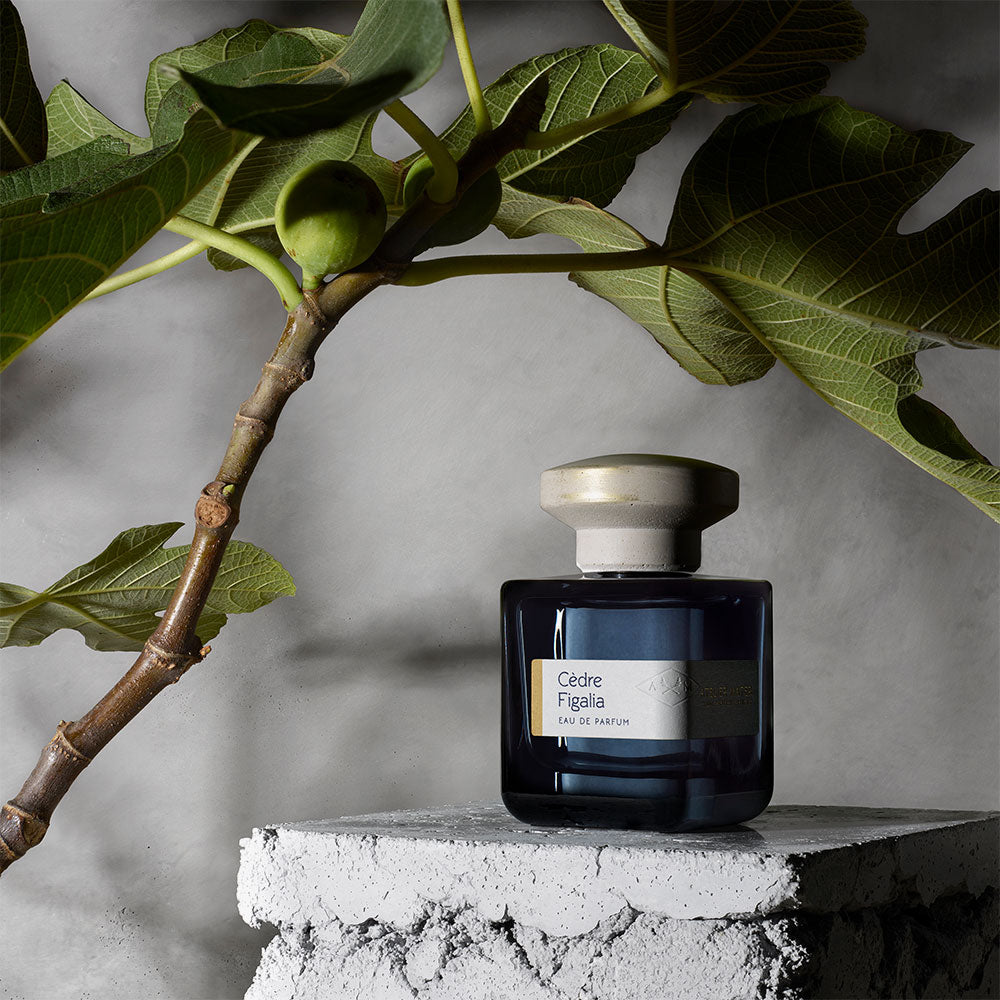 Atelier Materi – Chapter II – Eau de Parfum