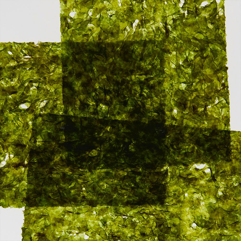 GWP: Cyan Nori 1st Edition – Eau de Parfum – 6ml