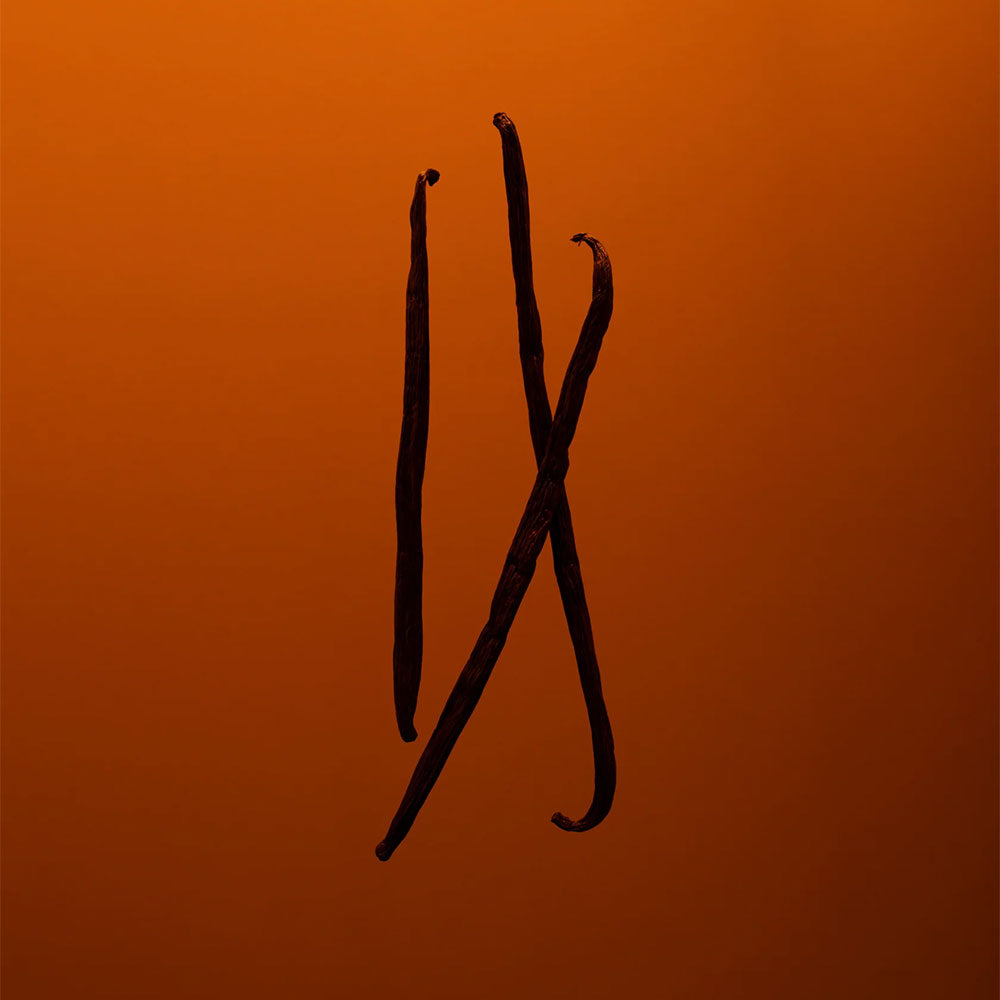 Vanille Leather – Eau de Parfum – Sample