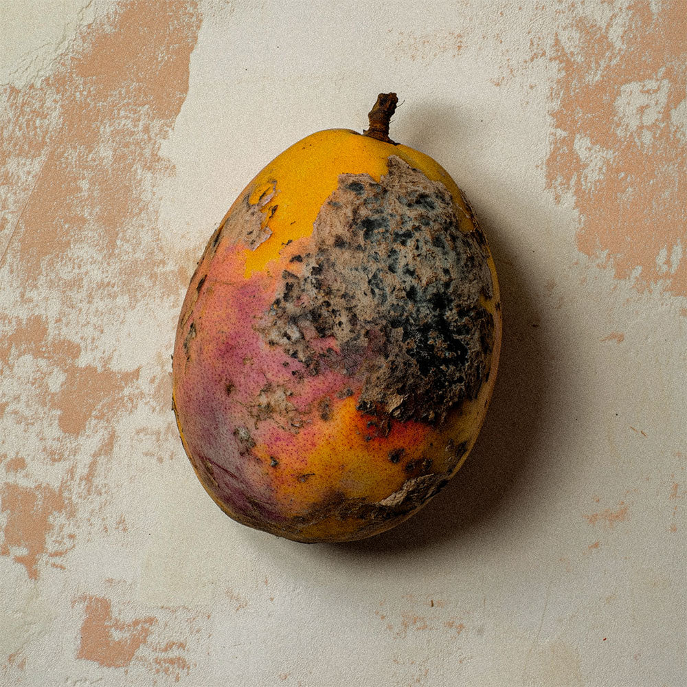 Black Mango – Extrait de Parfum – 50ml