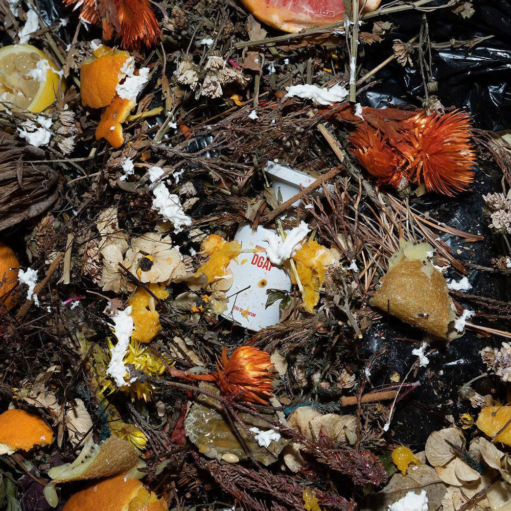 Borntostandout DGAF – Eau de Parfum – 50ml von Christophe Raynaud in der Duftnote Holzig-Grün