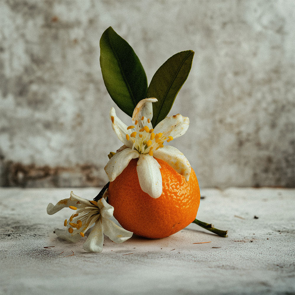 Purple Stain – Extrait de Parfum – Sample