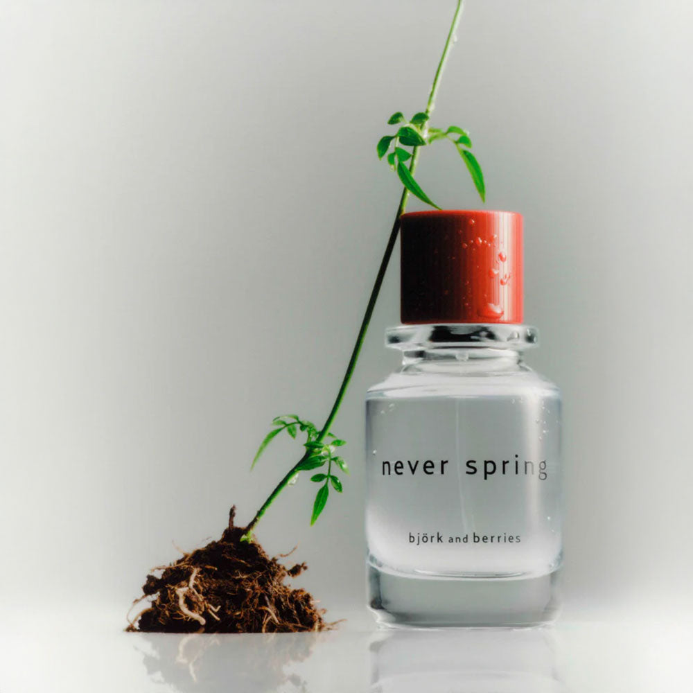 björk and berries Never Spring – Eau de Parfum – 50ml in der Duftnote Fruchtig, Zitrisch