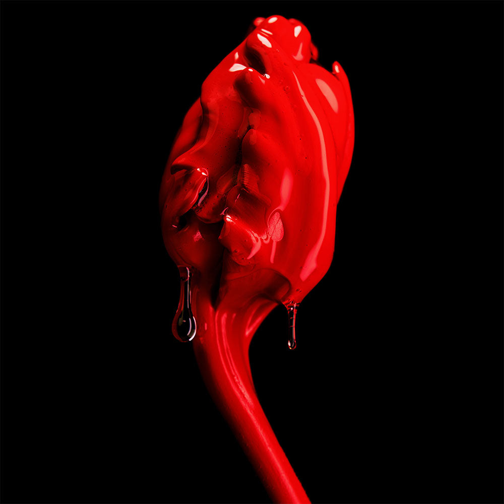 Rose of No Man’s Land – Absolu de Parfum – 100ml