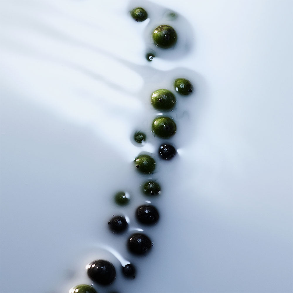 Blanche – Absolu de Parfum – 100ml