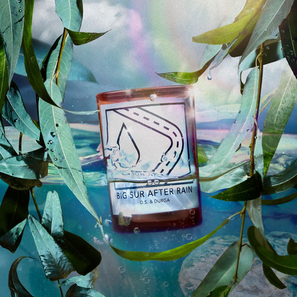 D.S. & Durga Big Sur After Rain – Candle von David Seth Moltz
