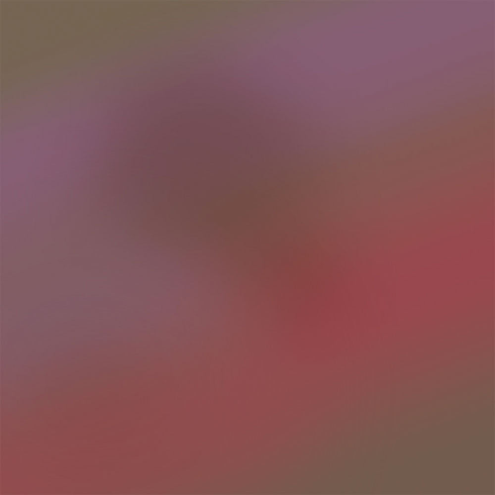 Fragrance 02 – Eau de Parfum – 15ml