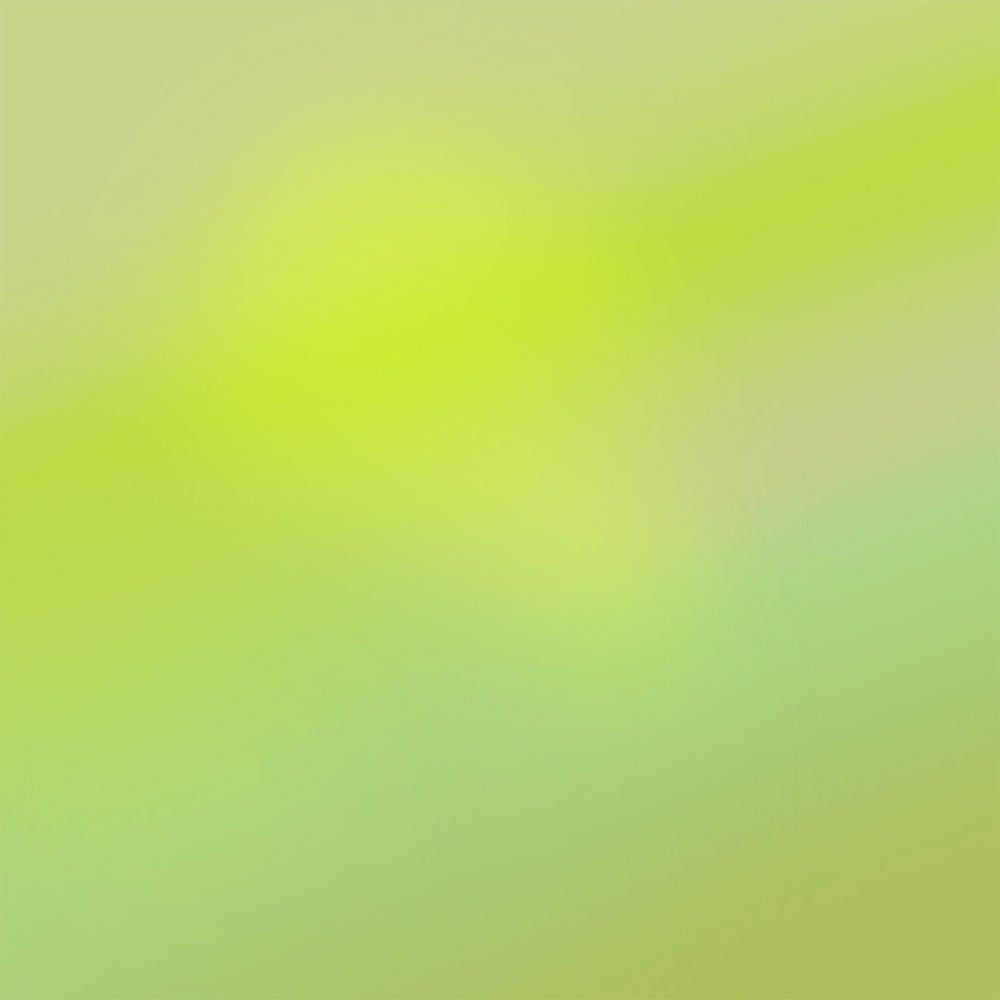 05 "Spring" – Eau de Parfum – 15ml