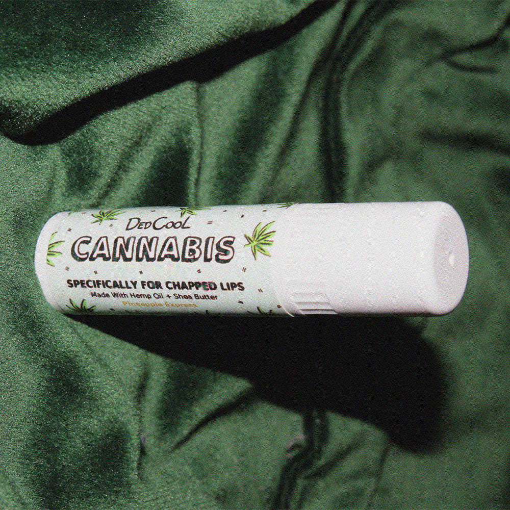 DedCool Cannabis Balm Stick von Carina Chaz