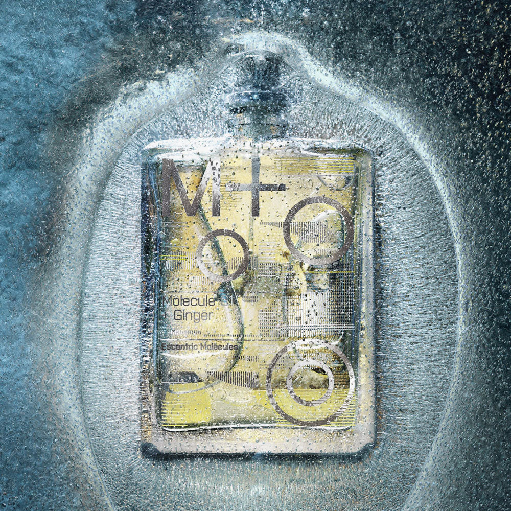 Escentric Molecules Molecule 01 + Ginger – Eau de Toilette – 100ml von Geza Schoen in der Duftnote Zitrisch