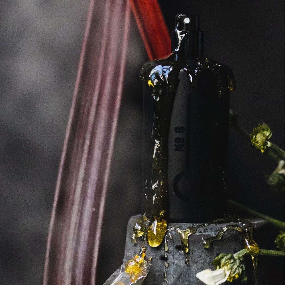 Fischersund No. 8 – Eau de Parfum – Sample von Jon Thor Birgisson in der Duftnote Fruity, Woody-Citrus