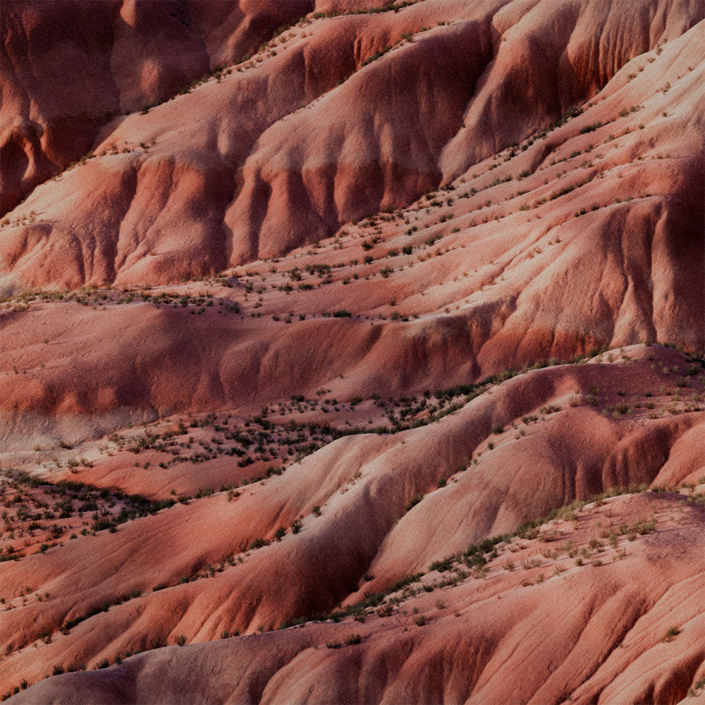 Painted Desert – Eau de Parfum