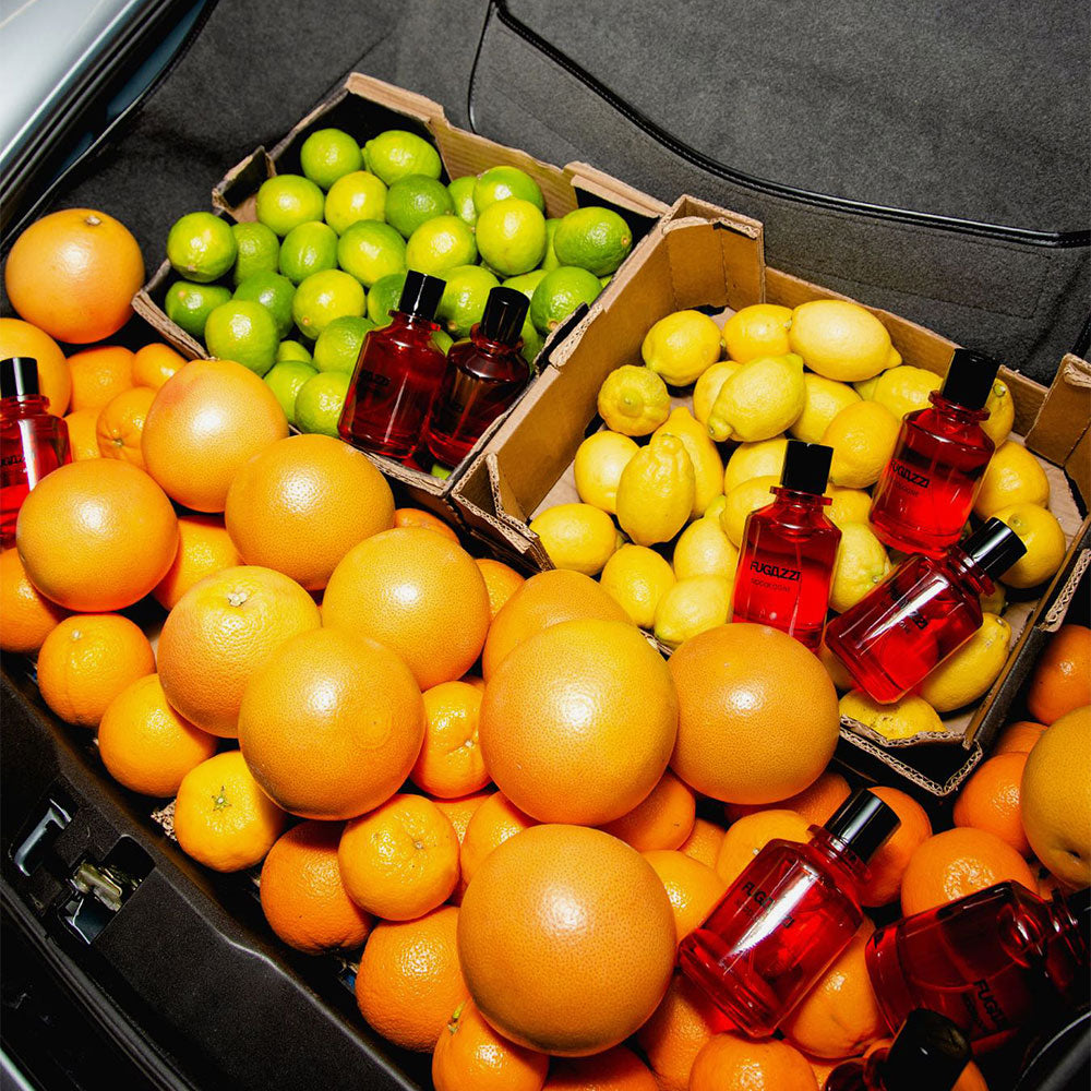 Fugazzi Nocologne – Extrait de Parfum – 50ml in der Duftnote Fruchtig