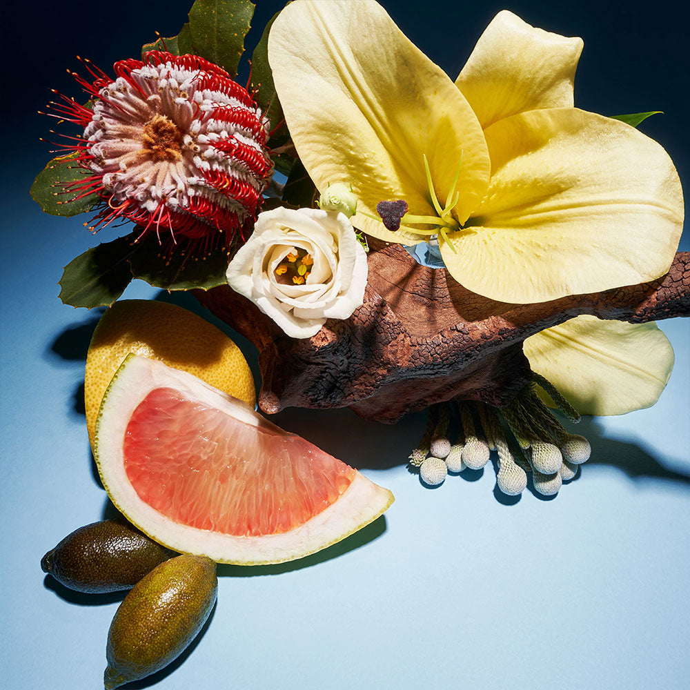 Bohemian Water – Perfume Oil Roller – 10ml