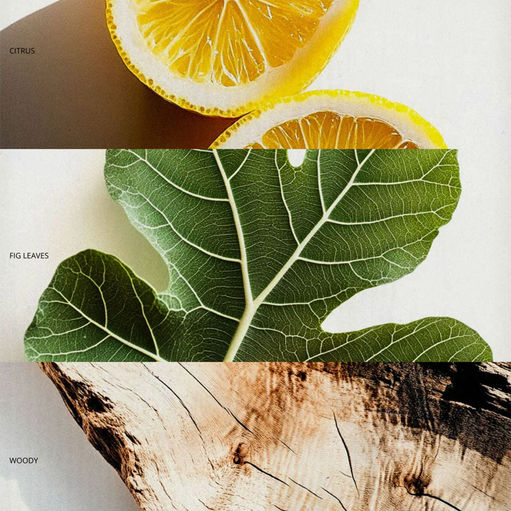 Melyon Hand Wash – Figue Mystique – 400ml