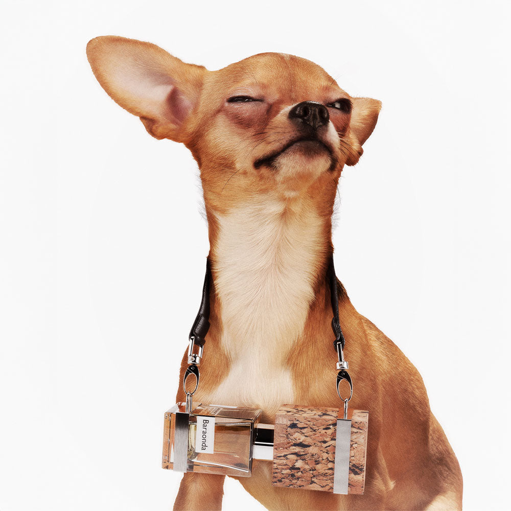 Nasomatto Baraonda – Extrait de Parfum – 30ml von Alessandro Gualtieri in der Duftnote Fruity, Woody, Spicy