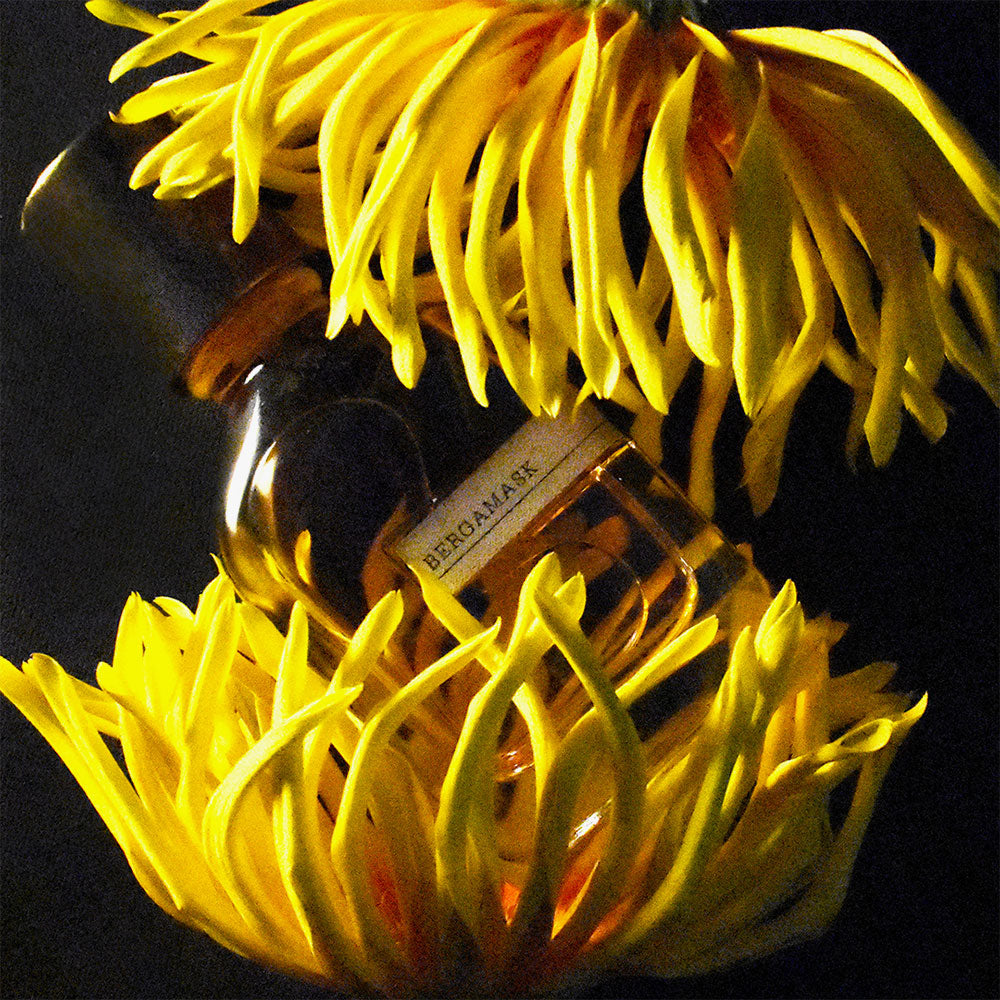 Orto Parisi Bergamask – Extrait de Parfum – 50ml von Alessandro Gualtieri in der Duftnote Citrusy, Aromatic