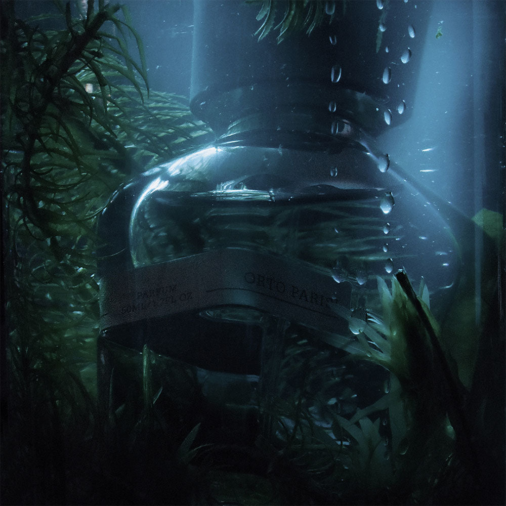 Orto Parisi Megamare – Extrait de Parfum – 50ml von Alessandro Gualtieri in der Duftnote Aquatic, Woody-Citrus