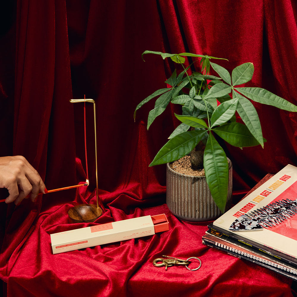 P.F. Candle Co. Hi-Fi Line: Blonde Hinoki – Incense Sticks