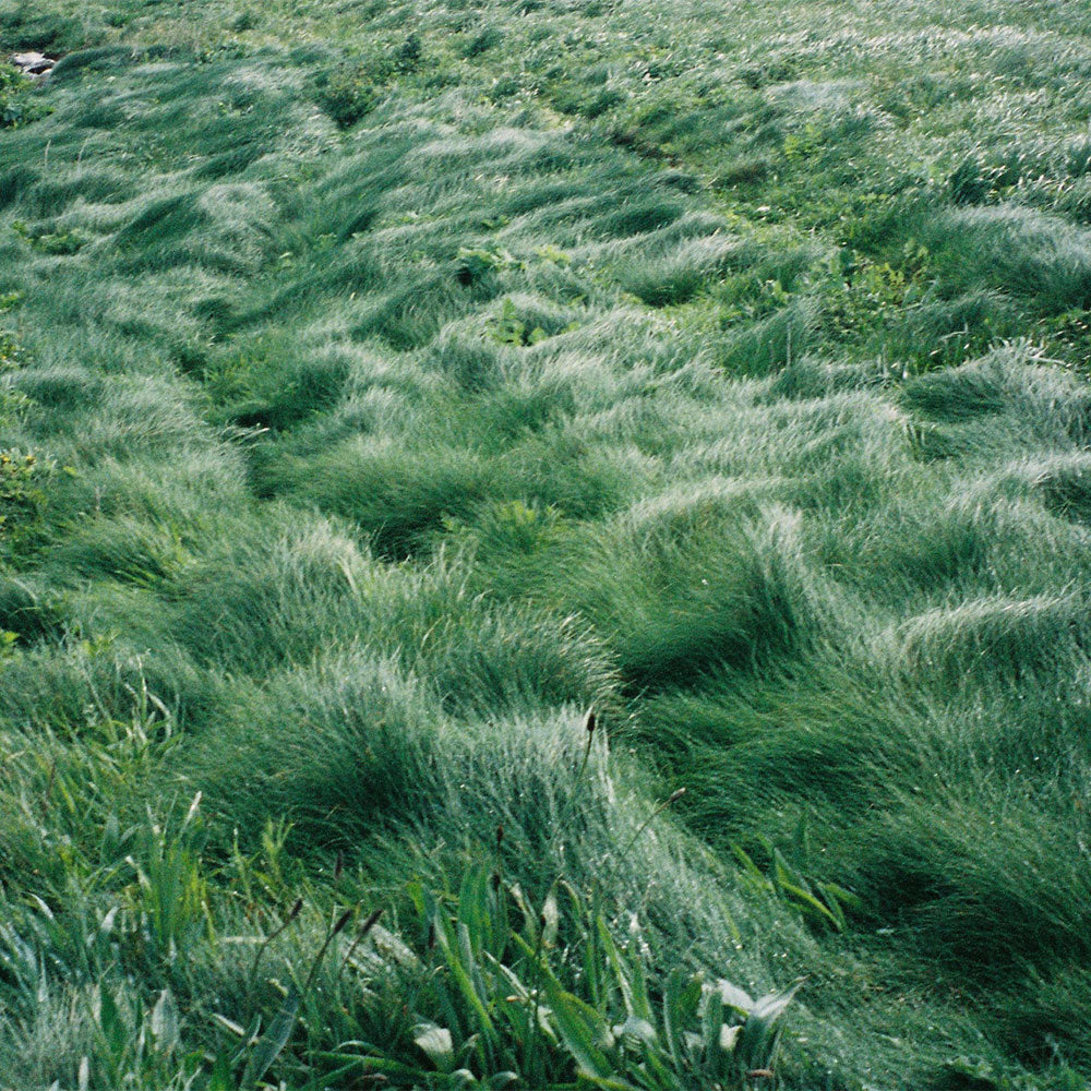 Sala – Eau de Parfum – 10ml