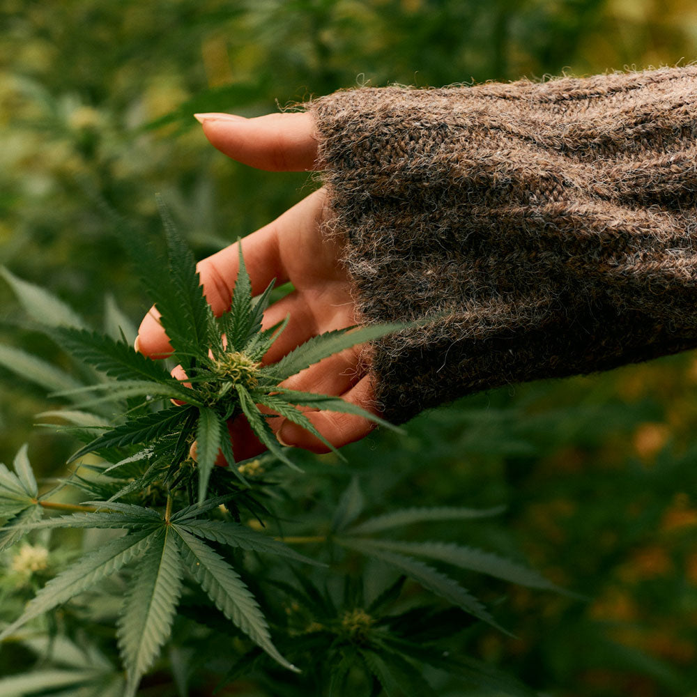 Woodberg Mary Jane – Fragrance Box