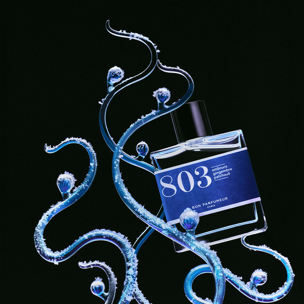 Bon Parfumeur 803 Eau de Parfum – Sea Spray, Ginger, Patchouli – 30ml