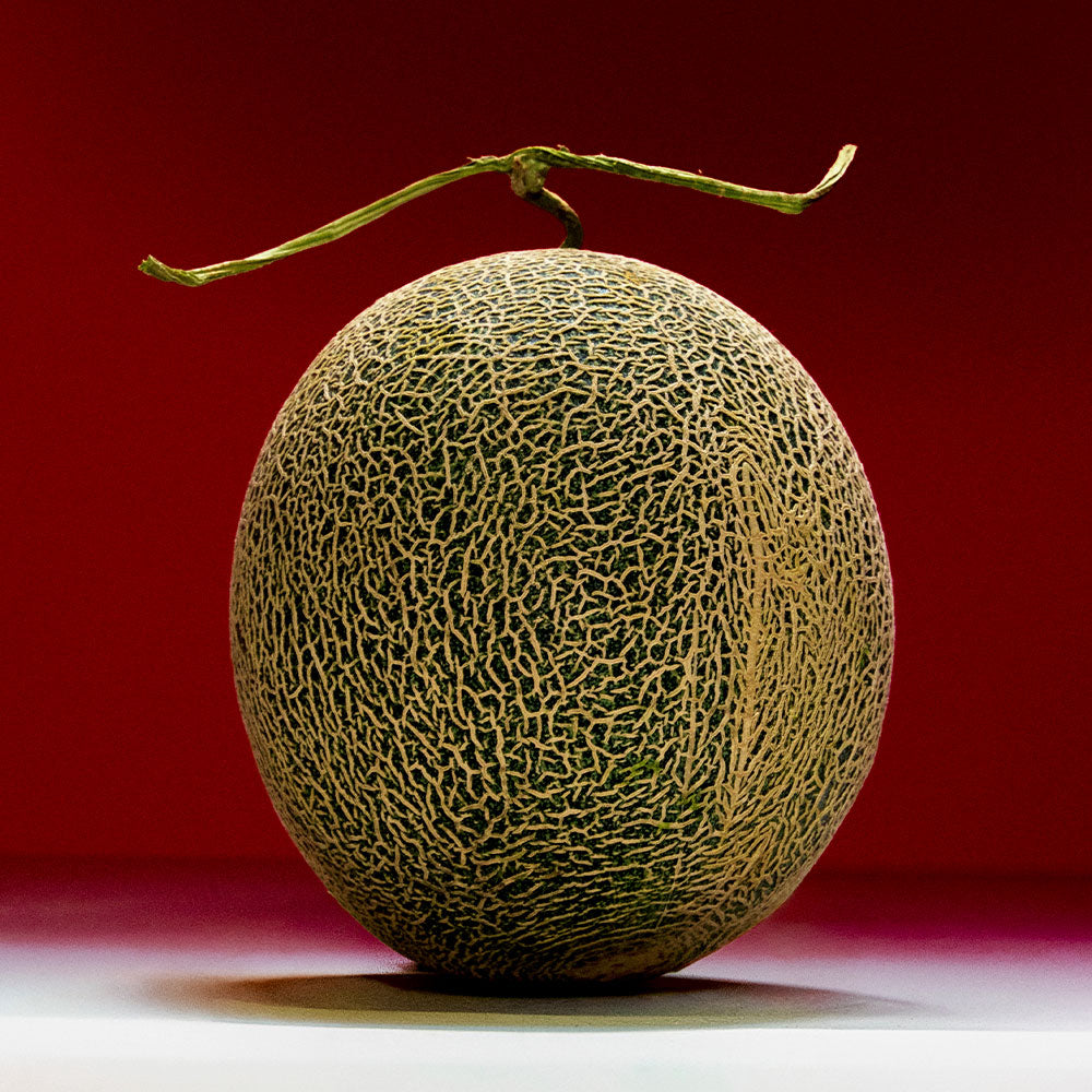 Melón Malo – Extrait de Parfum – 50ml