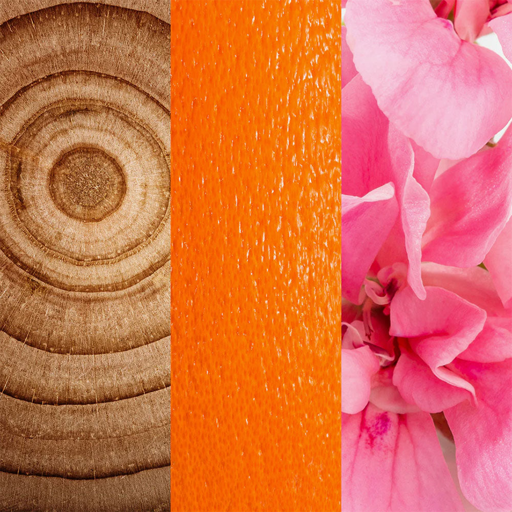 Revive Body Cleanser – 500ml