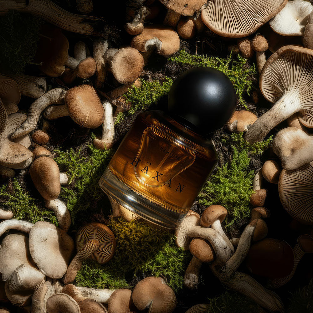 Heretic Parfum Häxan – Eau de Parfum – 30ml von Douglas Little