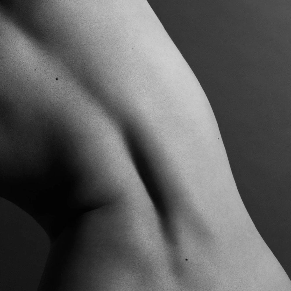 Body Lotion – Renaissance de Moringa – 400ml