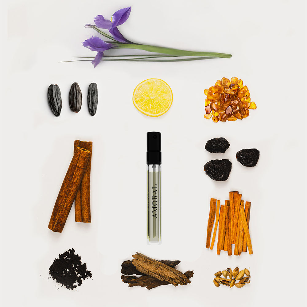 Pernoire Amoral – Extrait de Parfum – Travel Size von Vincent Micotti in der Duftnote Spicy, Woody, Smoky