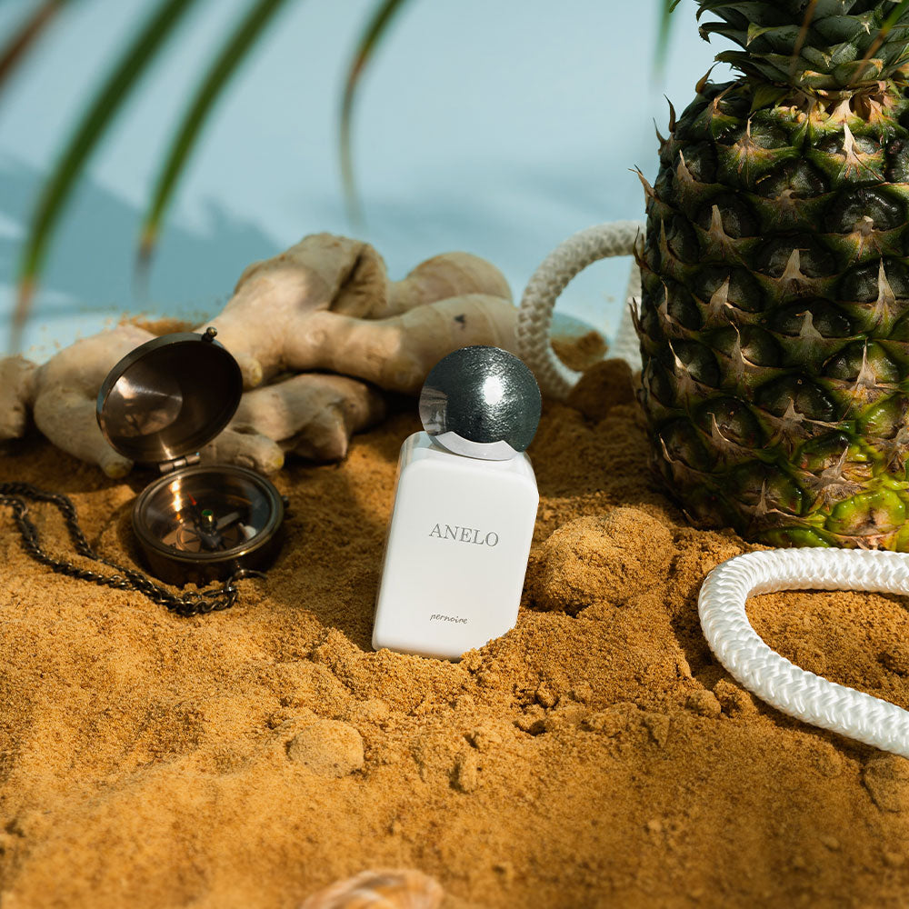 Pernoire Anelo – Extrait de Parfum – 50ml von Vincent Micotti in der Duftnote Fruity, Citrus, Aromatic