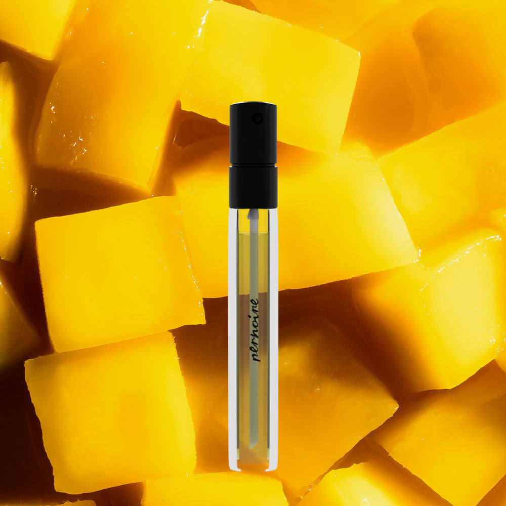 Pernoire Anelo – Extrait de Parfum – Travel Size von Vincent Micotti in der Duftnote Fruity, Citrus, Aromatic