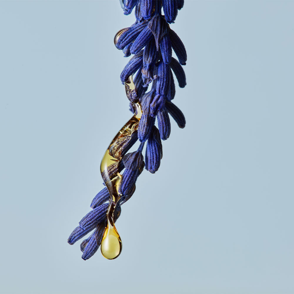 Shade of Blue – Eau de Parfum – Sample